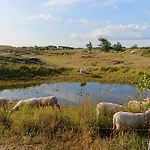 huisje Zomervreugd