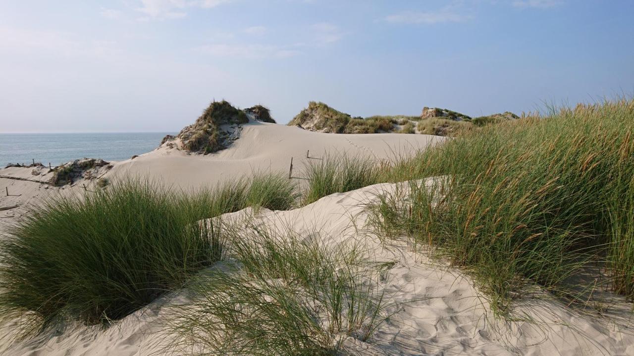 Huisje Zomervreugd * Burgh-Haamstede