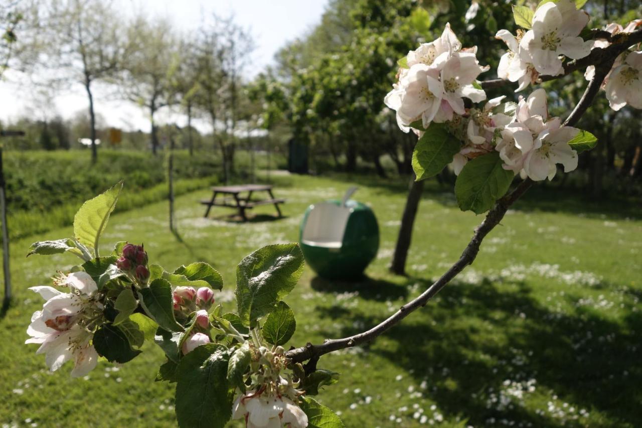 Huisje Zomervreugd Appartement *
