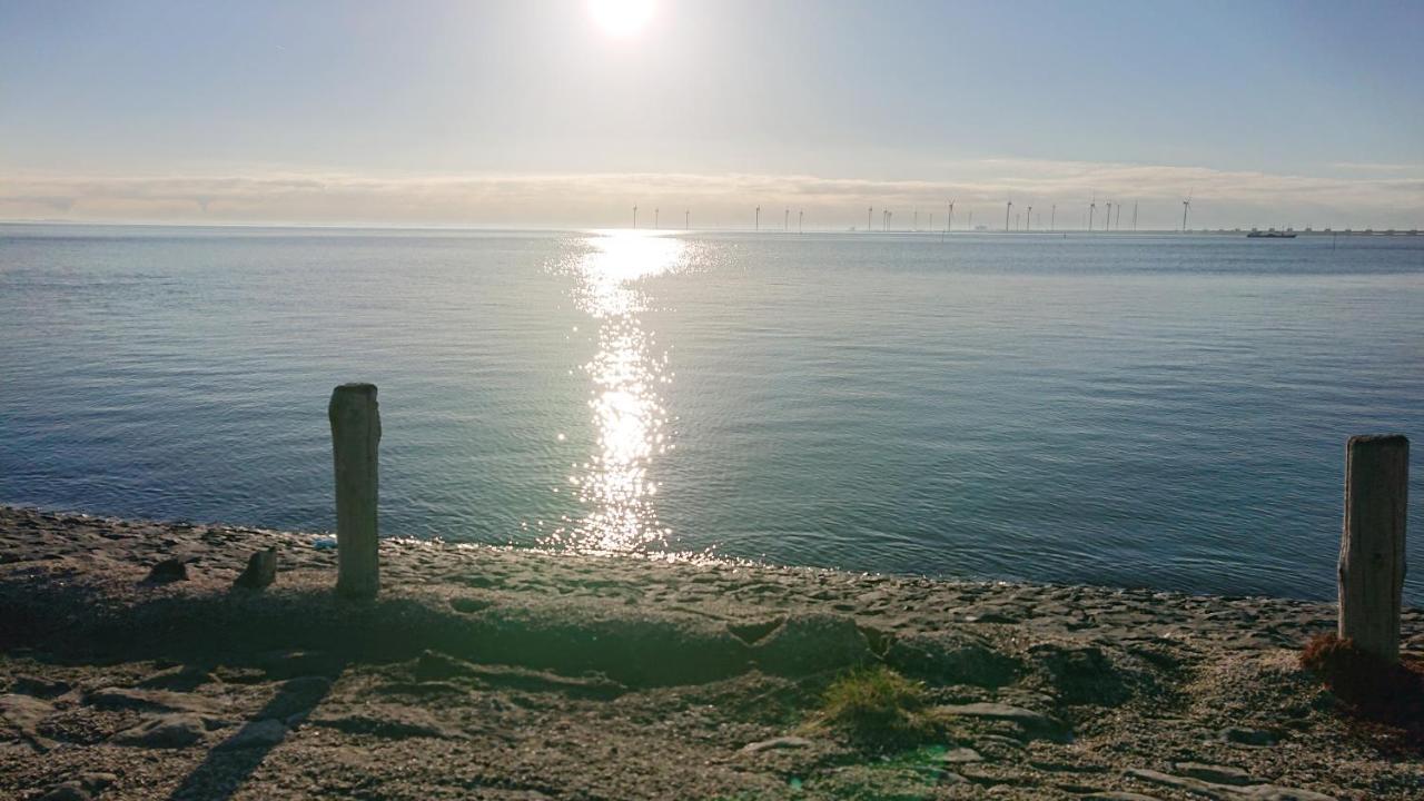 Huisje Zomervreugd * Burgh-Haamstede