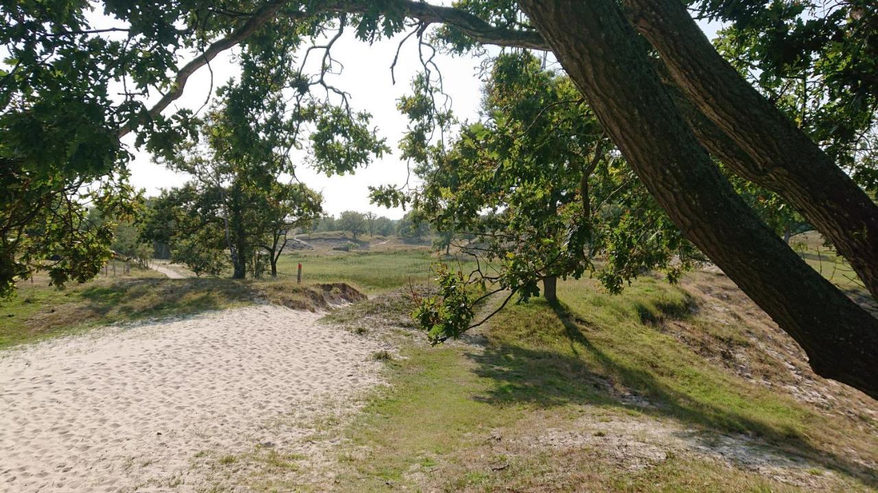 Huisje Zomervreugd * Burgh-Haamstede