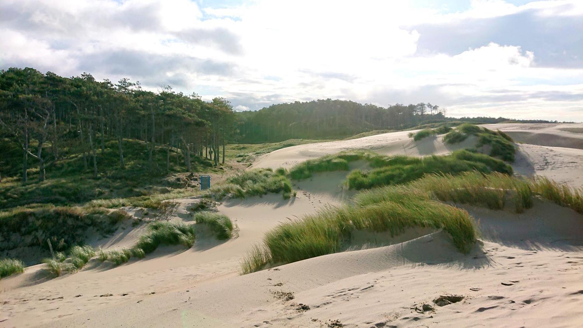Huisje Zomervreugd * Burgh-Haamstede